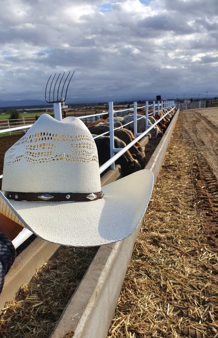 Morcon Hats - Honestidad